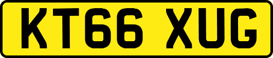 KT66XUG