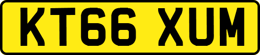 KT66XUM