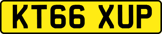 KT66XUP