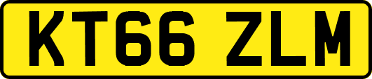 KT66ZLM