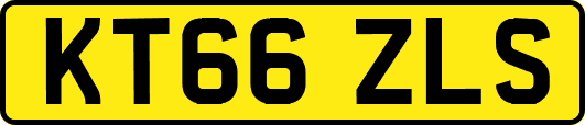 KT66ZLS