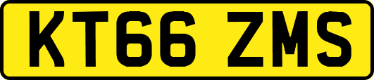 KT66ZMS
