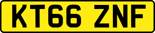 KT66ZNF