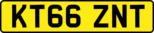 KT66ZNT