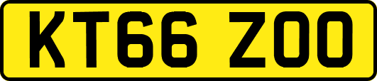 KT66ZOO