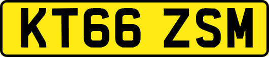 KT66ZSM