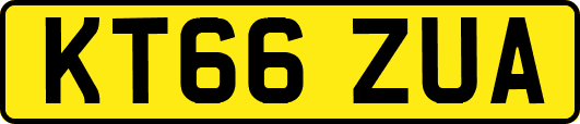KT66ZUA