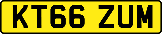 KT66ZUM