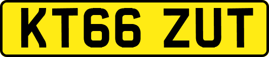 KT66ZUT