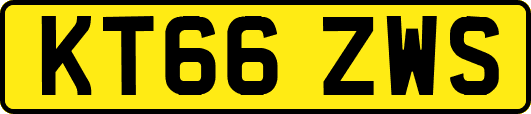 KT66ZWS
