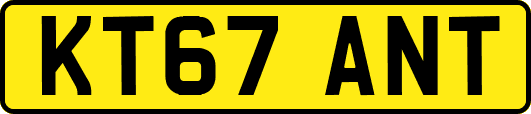 KT67ANT