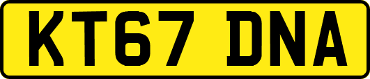 KT67DNA
