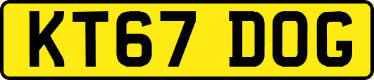 KT67DOG