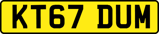 KT67DUM
