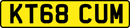 KT68CUM
