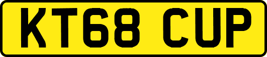 KT68CUP