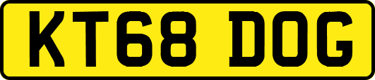 KT68DOG