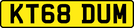 KT68DUM