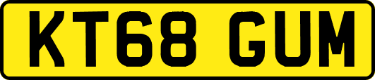 KT68GUM