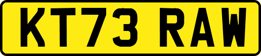 KT73RAW