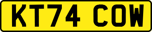 KT74COW