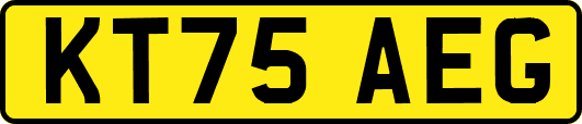 KT75AEG