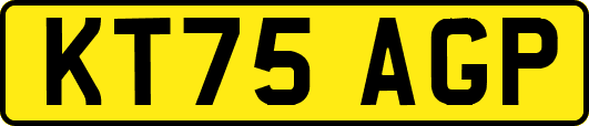 KT75AGP