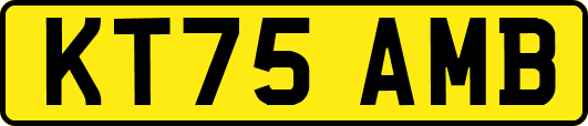 KT75AMB