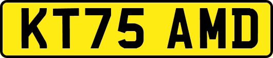 KT75AMD