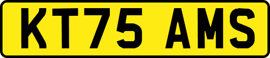 KT75AMS