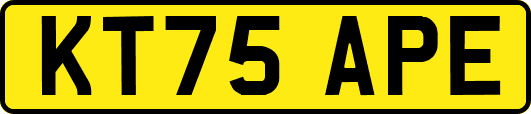 KT75APE