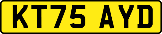 KT75AYD