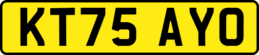 KT75AYO