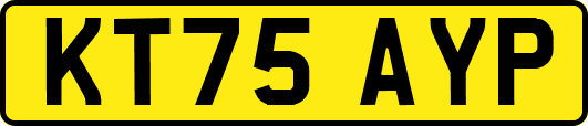 KT75AYP