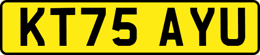KT75AYU