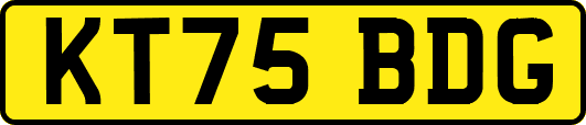 KT75BDG