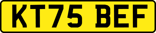 KT75BEF