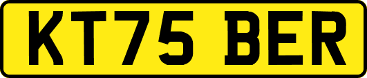KT75BER