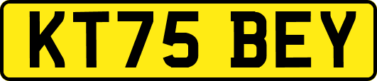 KT75BEY