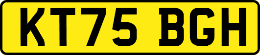 KT75BGH