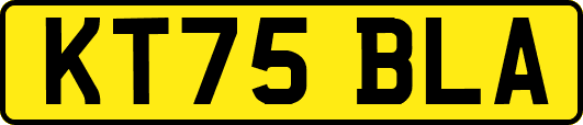 KT75BLA