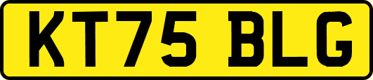KT75BLG