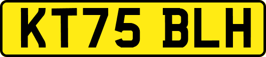 KT75BLH