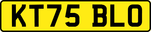 KT75BLO