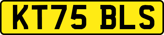 KT75BLS