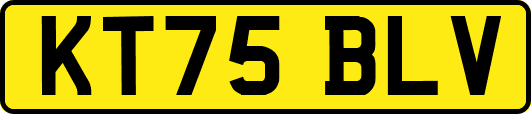 KT75BLV