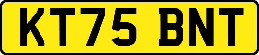KT75BNT
