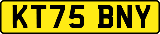 KT75BNY