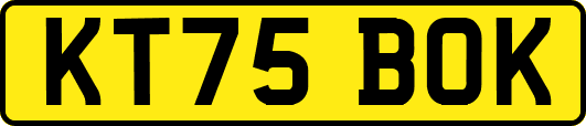 KT75BOK