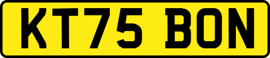 KT75BON